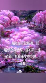 除虫大师